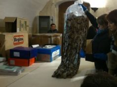 Museo del Costume o galleria espositiva? La risposta la dovrebbe dare l’assessore alla cultura