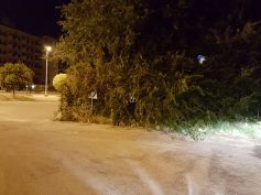 Un lettore si chiede: gli assessori meritano sempre l’indennità di carica ?