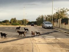 Eppur si muove …