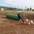 Nuova area di sgambamento per cani a Marina di Ragusa