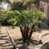 Manutenzione per i giardini degli ospedali di Ragusa