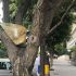 E venne l’era del sacchetto diffuso