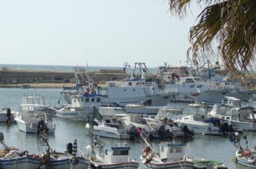 Porto di Scoglitti, Dipasquale (PD) replica ad Assenza: “Il progetto esecutivo esiste. Basta rinvii”