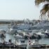 Porto di Scoglitti, Dipasquale (PD) replica ad Assenza: “Il progetto esecutivo esiste. Basta rinvii”