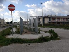 L’assessore Giovanni Iacono ha presentato il piano degli interventi per la lotta al randagismo