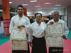 Stage di Aikido