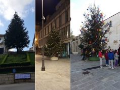 Gli esperti sono loro!
