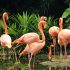 L’idea vincente, trasformare il Giardino zoologico di Villa d’Orléans nel primo smart zoo d’Italia