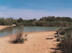 Istituzione area marina protetta “Fondali della Foce del fiume Irminio”