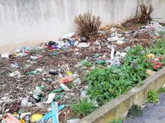 Il consigliere Antoci, del Movimento 5 Stelle, ‘scopre’ un’area a verde sommersa dai rifiuti