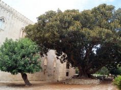Protocollo d’intesa fra Comune di Ragusa e Ordine degli Agronomi