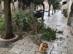 Allerta meteo in città per le forti raffiche di vento