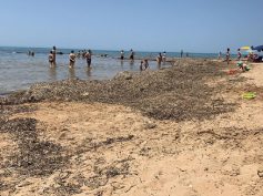 Spiaggia di Punta di Mola, eterna cenerentola del litorale comunale, a fine estate ci pensano i consiglieri del Partito Democratico