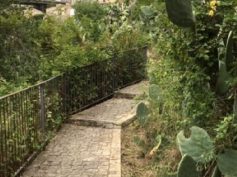 All’associazione CNGEI la manutenzione e la cura dell’area della panoramica del quartiere Carmine