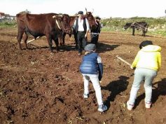‘Ricordi di terra nostra’, 11 anni di attività