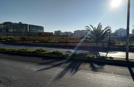 Stefania Campo e Marcello Medica stigmatizzano la scarsa sensibilità dell’amministrazione di Modica per il verde pubblico