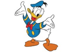 Il Consiglio comunale in videoconferenza e lo streaming di Paperino