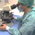Immunopatologia renale: nuove prospettive diagnostico terapeutiche nella Nefrologia dell’ASP di Ragusa