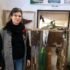Stefania Campo esorta al restauro del plastico della Prefettura