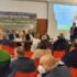 Zootecnia, on. Dipasquale (PD): “Bene la valorizzazione prodotti caseari, ma le aziende rischiano di chiudere per latitanza della politica regionale”