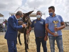 Il Presidente Musumeci ascolta le istanze della zootecnia ragusana
