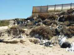 Finalmente la magistratura sequestra 7 km di litorale, ai Macconi di Gela