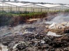 Finalmente arrivano i primi interventi per contrastare le fumarole
