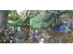 Una scuola di Ragusa e i biologi del progetto ‘Macrostigma siciliana’ al Congresso Internazionale della British Ecological Society