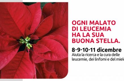 “Stella di Natale AIL”