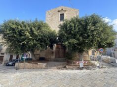 Troppi alberi secolari espiantati a Comiso, lo sottolineano Gigi Bellassai e la vice presidente del Consiglio Comunale dei ragazzi