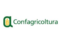 Confagricoltura Sicilia: priorità alla gestione responsabile delle risorse idriche