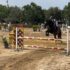 Salto ad ostacoli, circuito classico MASAF a Pozzallo