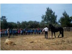 L’Associazione culturale ‘Ricordi di Terra Nostra’ oggi compie 16 anni