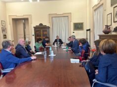Ancora il nulla per il randagismo, dopo i tavoli con le associazioni, ora quelli con i sindaci