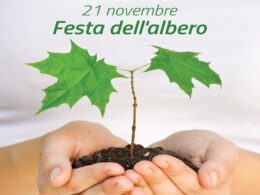 Festa dell’Albero