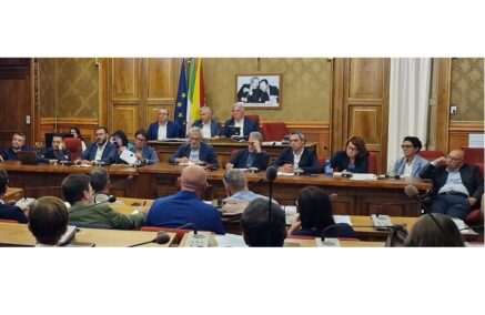 Le esternazioni dei consiglieri comunali nella seduta ispettiva fanno emergere criticità che spesso non hanno risposta