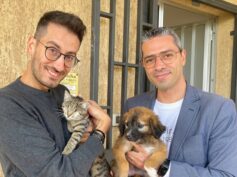 “#AdottaUnaGioia”, una campagna per promuovere l’adozione degli ospiti a quattro zampe del rifugio comunale