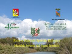 Tutela aree naturali protette, l’11 dicembre un corso di educazione ambientale