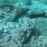 Beni culturali, ritrovato relitto arcaico nelle acque di Santa Maria del Focallo