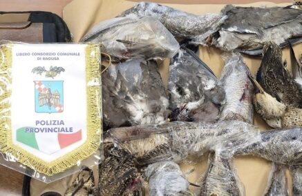 Polizia Provinciale: denunciati due bracconieri maltesi