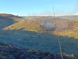 Giornata intensa per i Vigili del Fuoco nel sabato della vigilia di Pasqua fino alle prime luci dell’alba