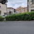 La “borsa” del verde pubblico spontaneo a Ragusa e dintorni – 2