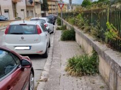 Verde spontaneo in città, dirigente e funzionario forse inadeguati al ruolo
