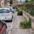Verde spontaneo in città, dirigente e funzionario forse inadeguati al ruolo