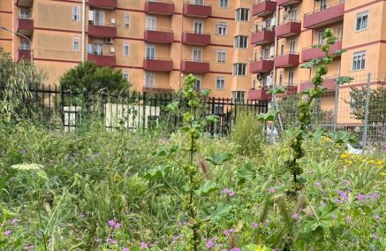 Dialogo fra sordi, lo scollamento fra amministrazione e minoranze traduce ormai lo stato di totale abbandono in città, decoro urbano e pulizia messi definitivamente da parte