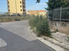 La “borsa” del verde pubblico spontaneo a Ragusa e dintorni