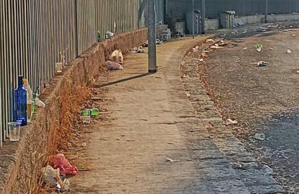 I proprietari di cani dovrebbero raccogliere le deiezioni, ma il Comune dovrebbe installare cestini portarifiuti