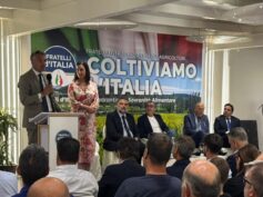 Evento “Coltiviamo l’Italia”, Fratelli d’Italia: “11 miliardi per il settore primario, investimenti record per tutelare il comparto”