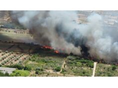 Incendi devastanti: l’On.Abbate propone istituzione di un fondo da 5 milioni per i ristori