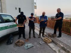 Preapertura della caccia, controlli e primi sequestri da parte della Polizia Provinciale